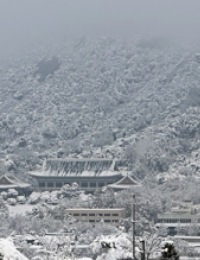 117년 만의 11월 폭설…도심 마비, 항공기 결항 등 비상 속출