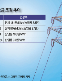 [전력업계 2024년 결산] 한전 경영위기 계속...전기요금 인상 난망, 발전설비 확충도 쉽지 않아