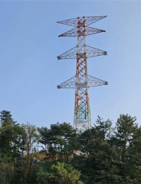 [이슈 분석] “계통혼잡비용 공개해야…전력거래소 EMS 신규 도입 필요”