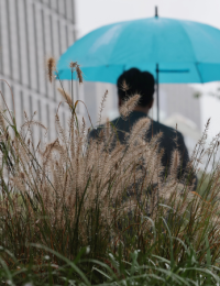 전국 가을비 이어져, 영동 내일까지 120mm↑