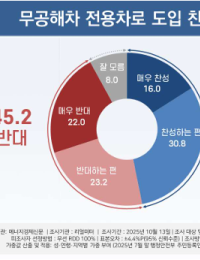 [에너지경제 여론조사] 공휴일 무공해차 전용차로 도입 ‘찬성 46.8% vs 반대 45.2%’ 팽팽