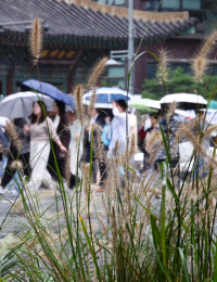 끝나지 않는 가을비…15일 밤부터 전국 확대
