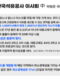 [2025 국감] 6년째 자본잠식 석유공사, ‘대왕고래’ 1200억 시추 실패에도 성과급 잔치