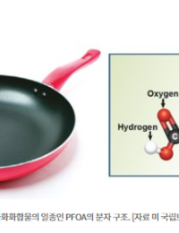 [환경포커스]“낙동강 수돗물서 검출”… 과불화화합물(PFAS) 우려에 정부 본격 대응