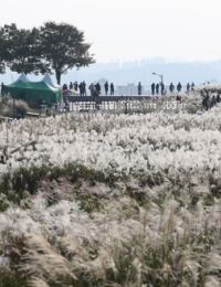 [주말날씨] 토요일 낮 기온 올라 따뜻…일요일부터 다시 하락