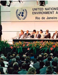 [기후 신호등] 기후변화협약 당사국총회 30년 역사: 교토-파리-아마존