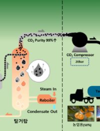 발전소 탄소가 식물 먹이로…중부발전의 미래를 바꿀 실험