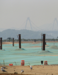 기후위기의 핵심 변수 메탄(CH₄)…온난화 단기 대응책으로 주목