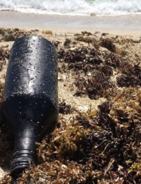 2020년 여름 美 플로리다를 덮친 기름오염 덩어리 미스터리 풀렸다