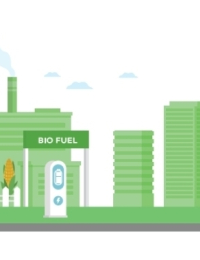 바이오연료, ‘산업부·국토부·기후부 연계 정책’으로 가야
