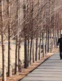 4일 입춘 기온 ‘포근’…동해안 강한 바람에 산불 주의보