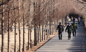 4일 입춘 기온 ‘포근’…동해안 강한 바람에 산불 주의보