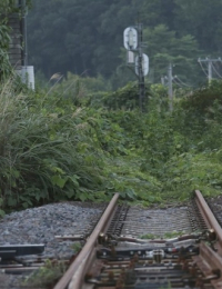 일본 후쿠시마 사고가 남긴 ‘혼종 멧돼지’…생태계가 보내는 경고