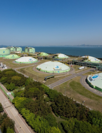 “석유는 208일 비축하는데, 왜 LNG는 9일밖에 안하냐”는 국회 지적