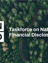 기업이 살린 ‘숲·토양·해양’ 자본이 된다