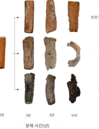 담배꽁초, 10년 후에도 사라지지 않고 오염물질 배출한다