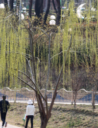전국 맑고 포근한 낮…해 지면 기온 ‘뚝’
