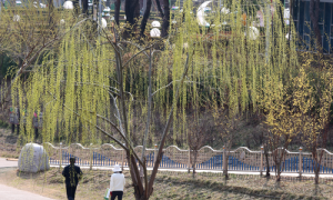 전국 맑고 포근한 낮…해 지면 기온 ‘뚝’