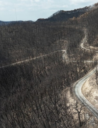 임도의 두 얼굴: 산불 진화 도움되지만, 발생·확산도 부추겨