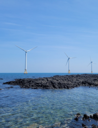 상반기 해상풍력 입찰 1800MW…상한가 인하 업계 부담