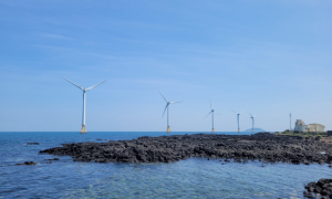 상반기 해상풍력 입찰 1800MW…상한가 인하 업계 부담