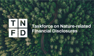 “건강한 생태계가 기업 자산”…정부, 생태계 계정 구축에 나선다