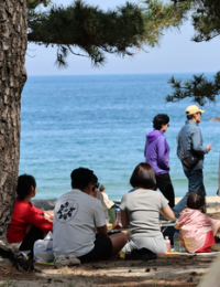 올여름 얼마나 더우려고…5월 최고기온 29도 전망