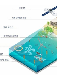 자연이 가진 회복력 활용해 기후 위기 해결…‘에코테크’가 뜬다