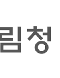 산림기술자 ‘10명 중 4명’ 자격 대여 정황…산림청 “강력 대응”