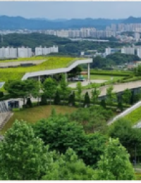 인공둥지 설치한 네이버, 스마트스토어는 생물다양성 사각지대